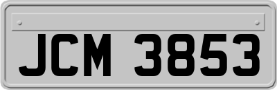 JCM3853