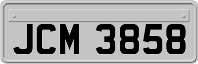JCM3858