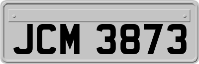 JCM3873