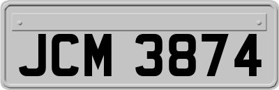 JCM3874