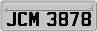 JCM3878