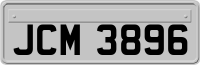 JCM3896