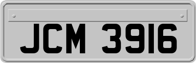 JCM3916