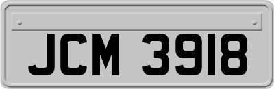 JCM3918