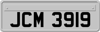 JCM3919