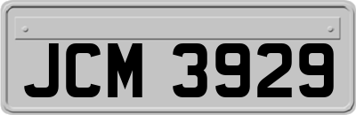 JCM3929