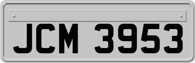 JCM3953