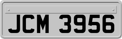 JCM3956