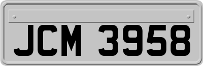 JCM3958