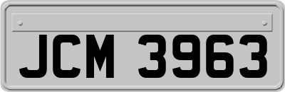 JCM3963