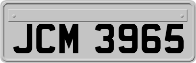 JCM3965