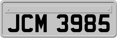 JCM3985