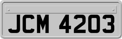JCM4203