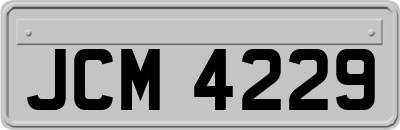 JCM4229