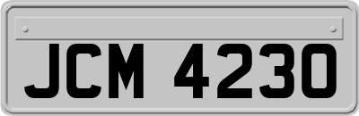 JCM4230