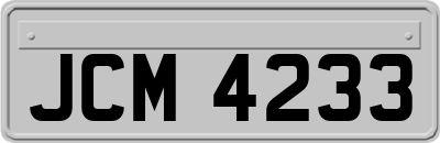 JCM4233