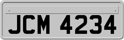 JCM4234