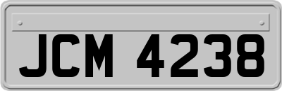 JCM4238