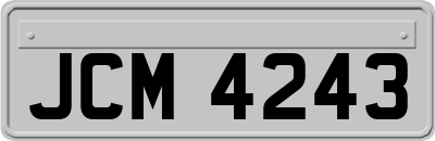 JCM4243