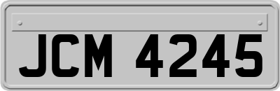 JCM4245