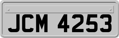 JCM4253