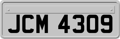 JCM4309