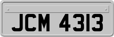 JCM4313