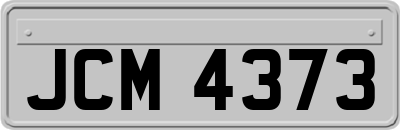 JCM4373