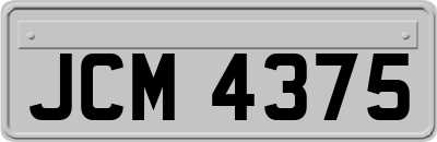 JCM4375