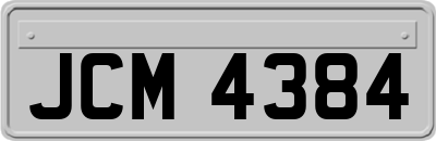 JCM4384
