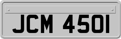 JCM4501