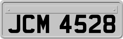 JCM4528
