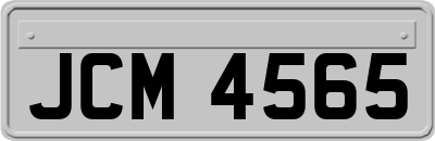 JCM4565