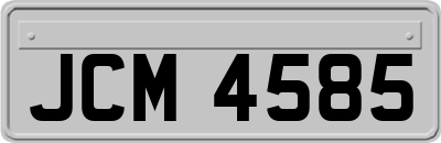 JCM4585