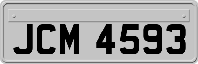 JCM4593