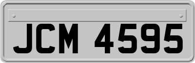 JCM4595