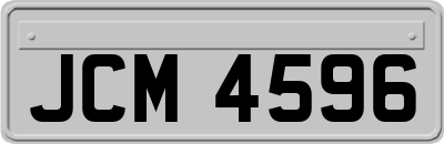 JCM4596