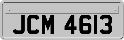JCM4613