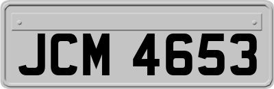JCM4653