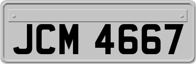 JCM4667