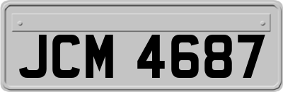 JCM4687