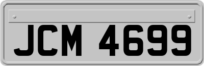 JCM4699