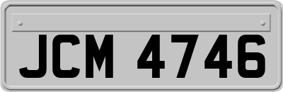 JCM4746
