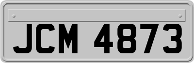 JCM4873