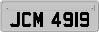 JCM4919