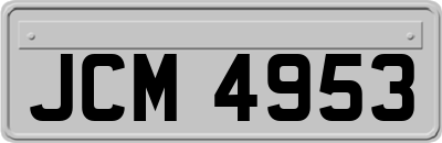JCM4953