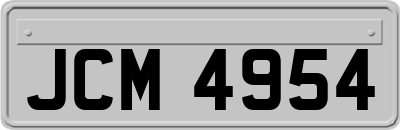 JCM4954