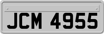 JCM4955