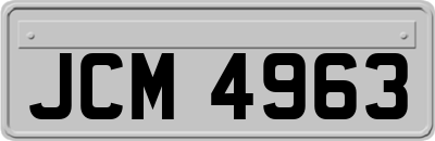 JCM4963