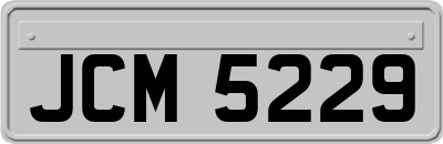 JCM5229